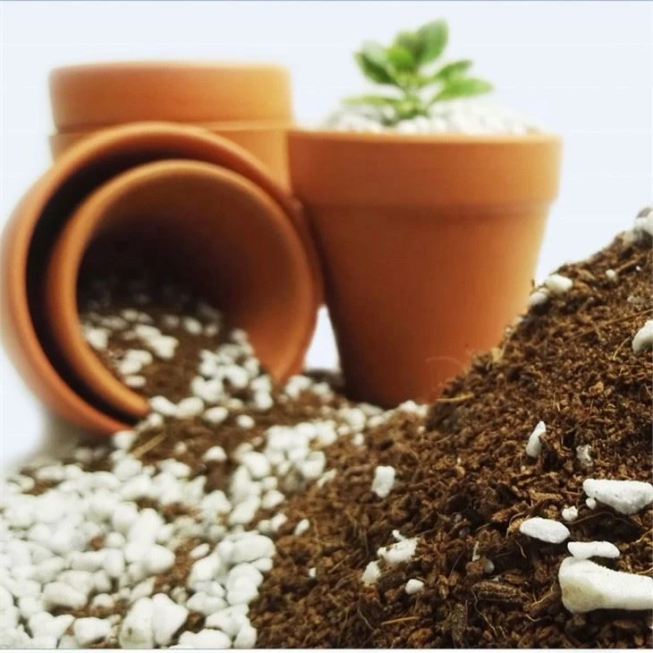 Premium Coir Mix 70/30 container for seedlings, cuttings, and plant propagation