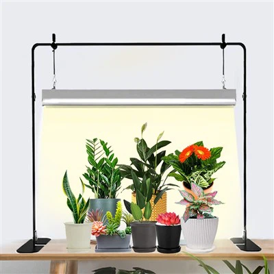 Luci progressive a LED regolabili