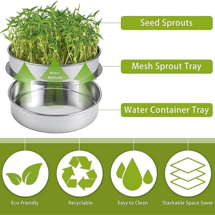 Seed Sprouter Set for Growing Broccoli