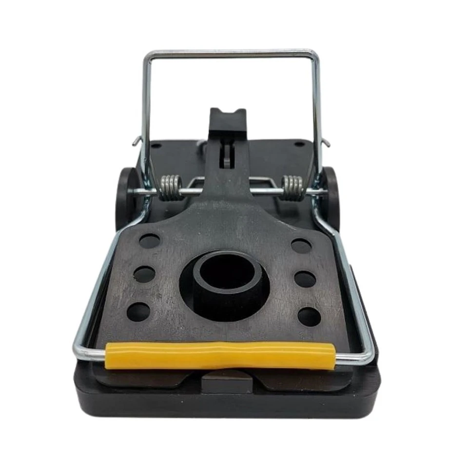 best rat traps nearby